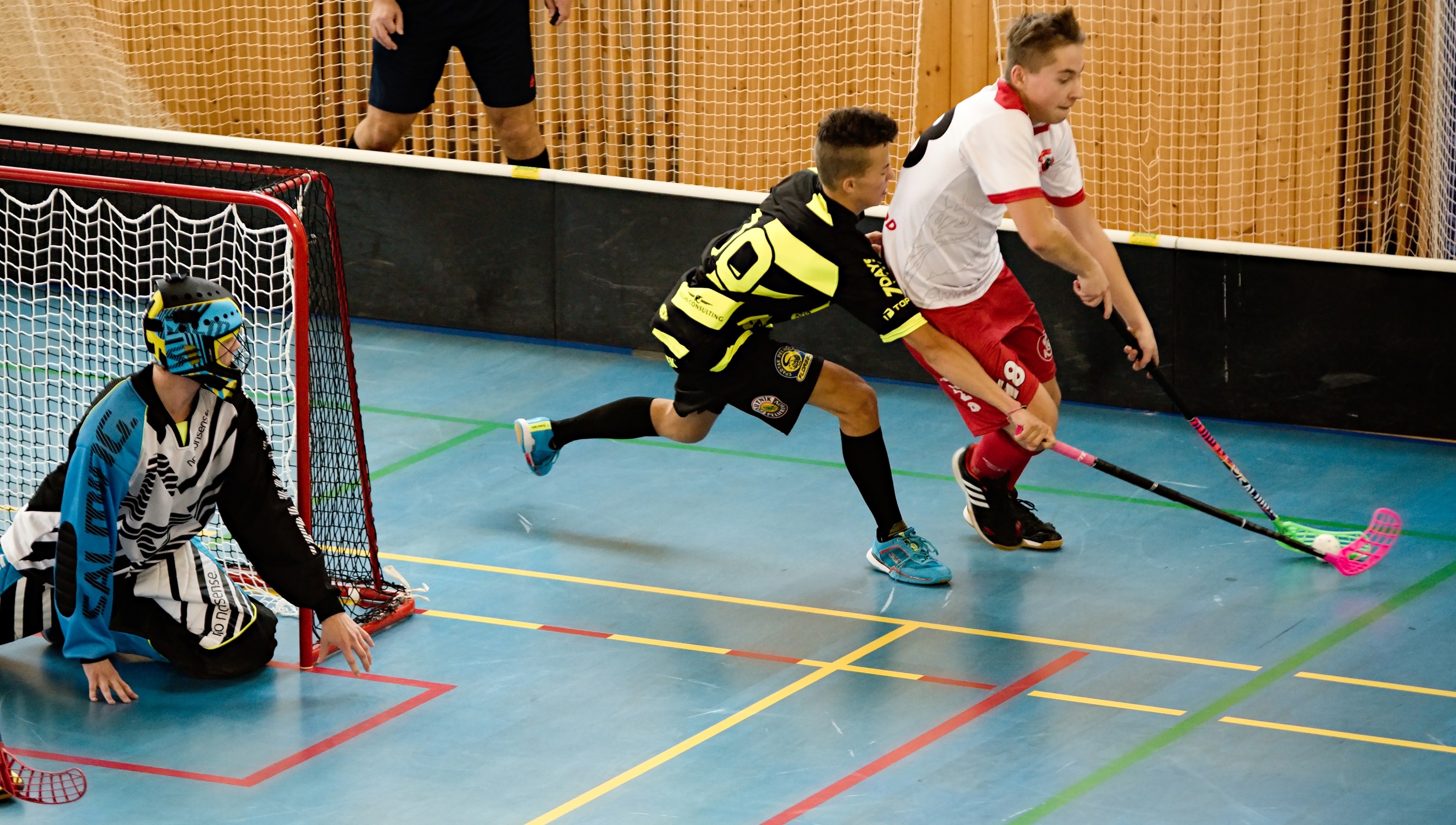 JunciLedec241015 023